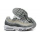 Nike Air Max 95 TT (M) Grey White Shoes DC9844-001