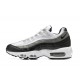 Nike Air Max 95 TT (M) White Black Shoes DR2550-100