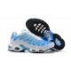 Nike Air Max Plus Tn (M) Blue White 852630-411 Shoes