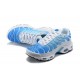 Nike Air Max Plus Tn (M) Blue White 852630-411 Shoes