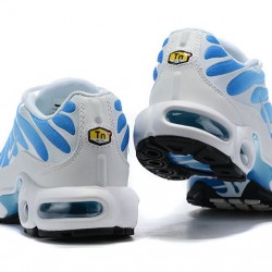 Nike Air Max Plus Tn (M) Blue White 852630-411 Shoes