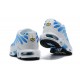 Nike Air Max Plus Tn (M) Blue White 852630-411 Shoes