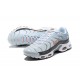 Nike Air Max Plus Tn (M) Crater Grey DA1500-100 Shoes