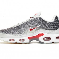 Nike Air Max Plus Tn (M) Grey and White Shoes