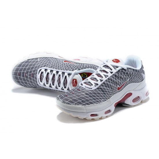 Nike Air Max Plus Tn (M) Grey and White Shoes