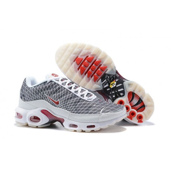 Nike Air Max Plus Tn (M) Grey and White Shoes