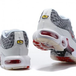 Nike Air Max Plus Tn (M) Grey and White Shoes