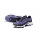 Nike Air Max Plus Tn (M) Purple Black CD0609-024 Shoes