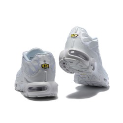 Nike Air Max Plus Tn (M) SE White AJ2029-100 Shoes