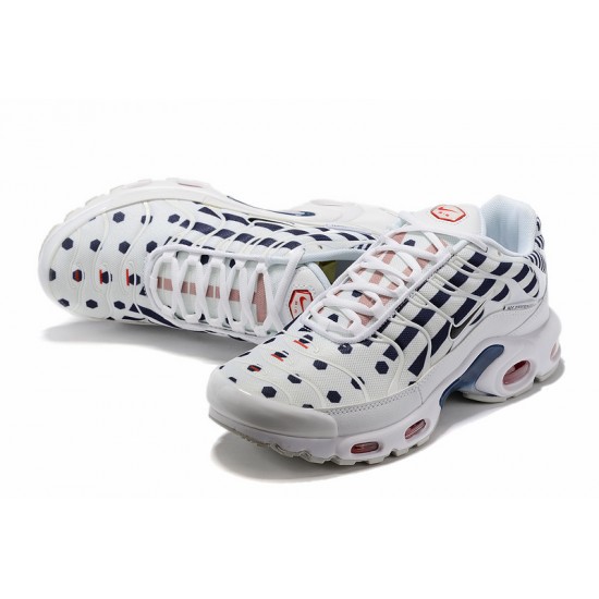 Nike Air Max Plus Tn (M) White Blue CI9103-100 Shoes