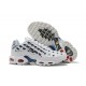 Nike Air Max Plus Tn (M) White Blue CI9103-100 Shoes