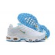 Nike Air Max Plus Tn (M) White Blue Shoes