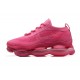 Nike Air Max Scorpion (W) Pink Shoes DR0888-008