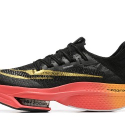 Nike Air Zoom Alphafly Next 2 (M) Black Gold Shoes 