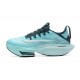 Nike Air Zoom Alphafly Next 2 (M) Blue Shoes 