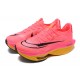 Nike Air Zoom Alphafly Next 2 (W/M) Pink Red Shoes 