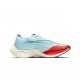 Nike ZoomX VaporFly NEXT (W/M) Blue Red Shoes 